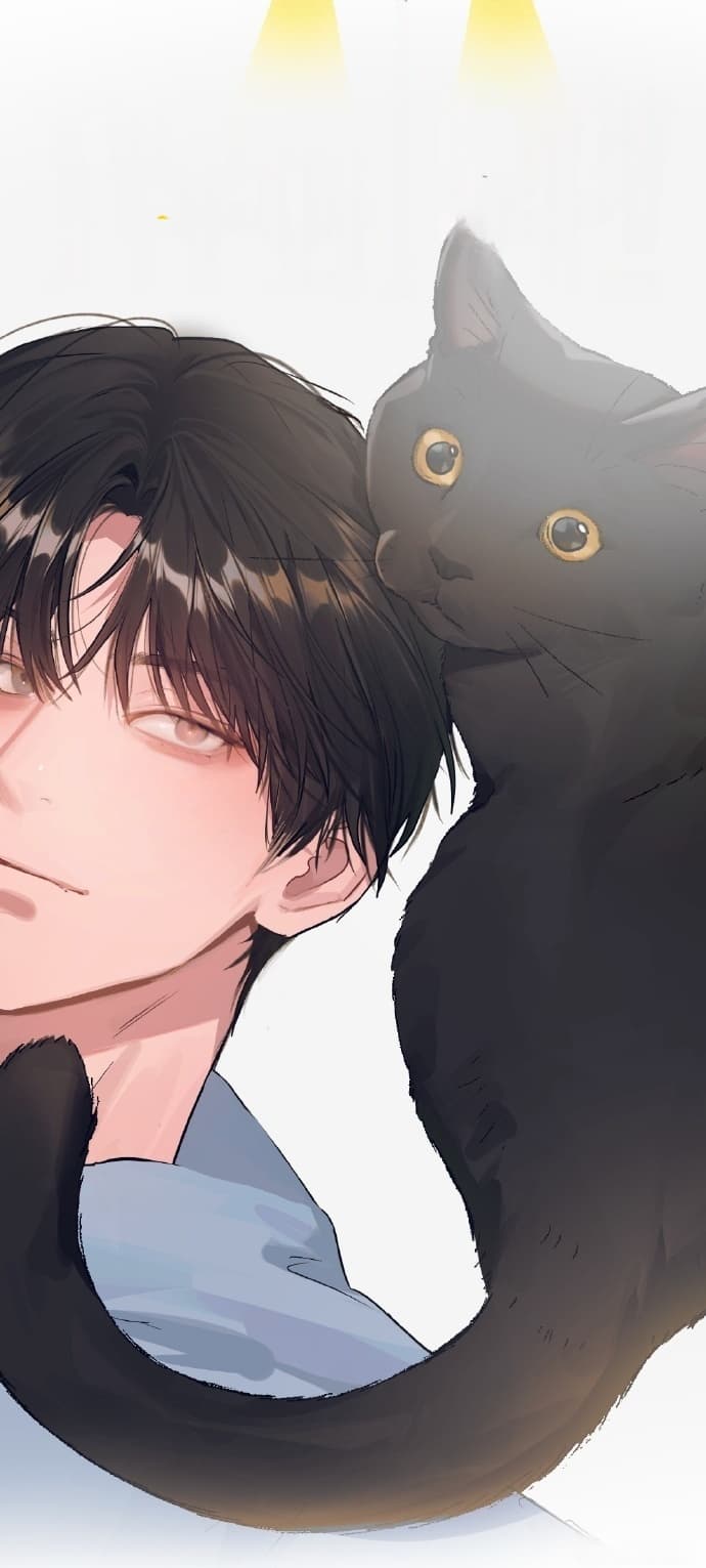 免费观看